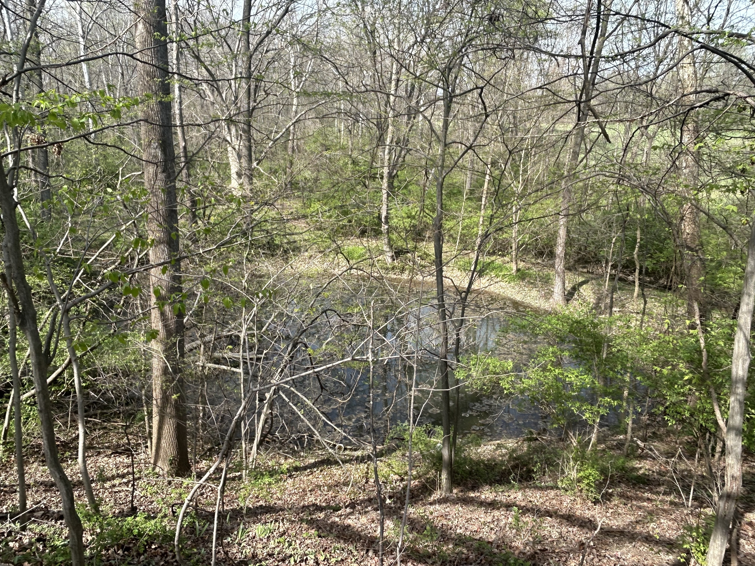 5710 E County Road 200 N Avon IN 46123