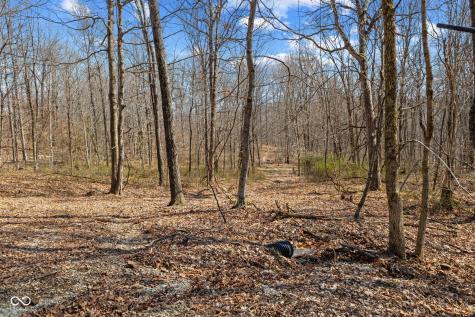 8172 E Ash Road Bloomfield IN 47424