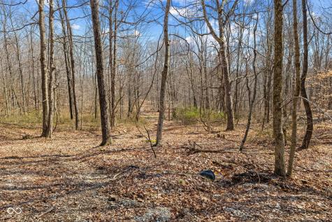 8172 E Ash Road Bloomfield IN 47424