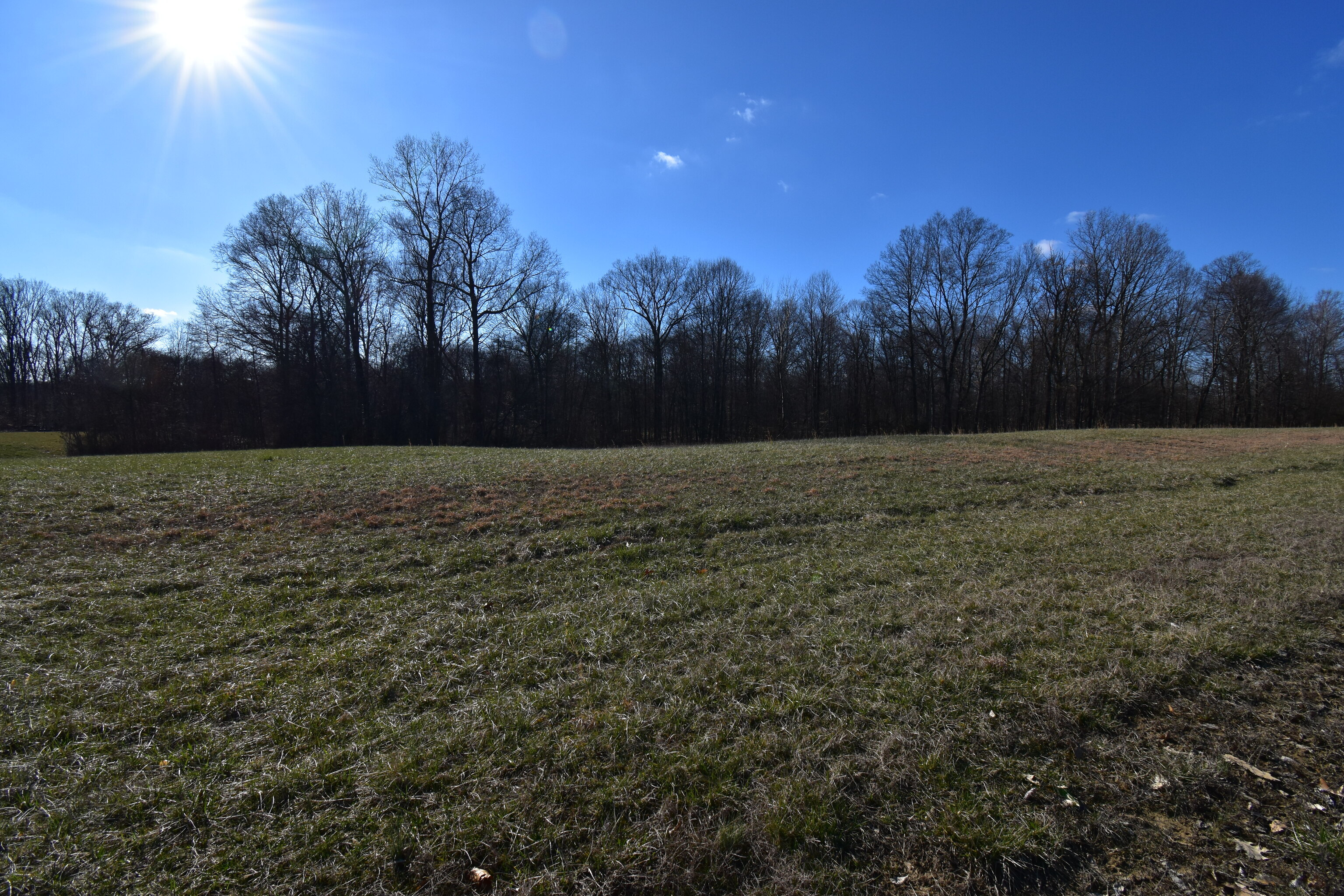 0 Falcon Crest Drive Martinsville IN 46151