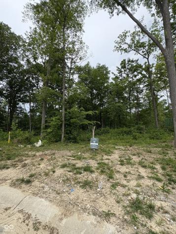 10380 Holliday Farms Boulevard Zionsville IN 46077