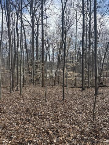 0 Foxcliff North Drive W Martinsville IN 46151