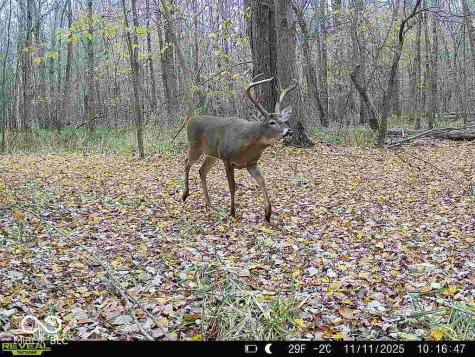 6000 E Block County Road 1000 N Seymour IN 47274