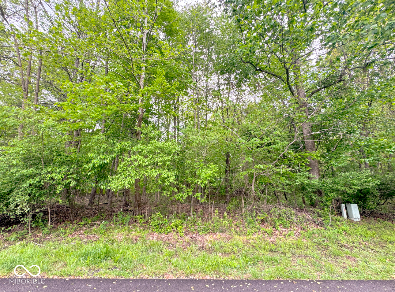 1555 Fox Cross Drive Martinsville IN 46151
