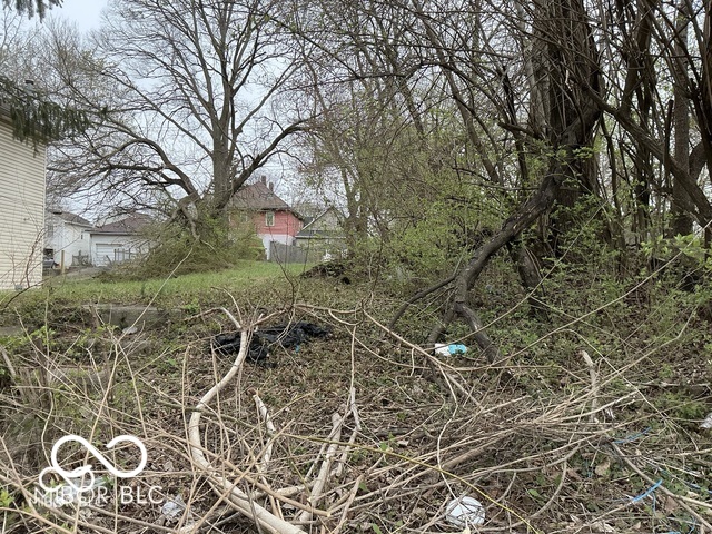 1030 W 29th Street Indianapolis IN 46208