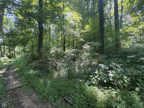 8270 W Chafin Chapel Road Ellettsville IN 47429