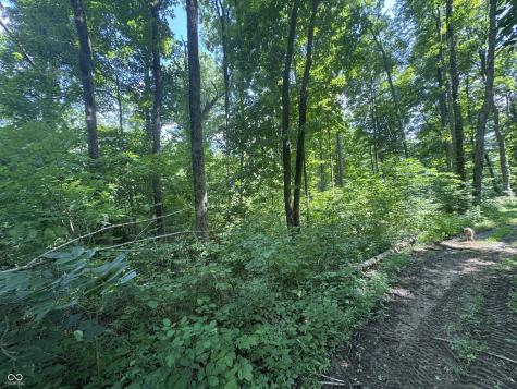 8270 W Chafin Chapel Road Ellettsville IN 47429