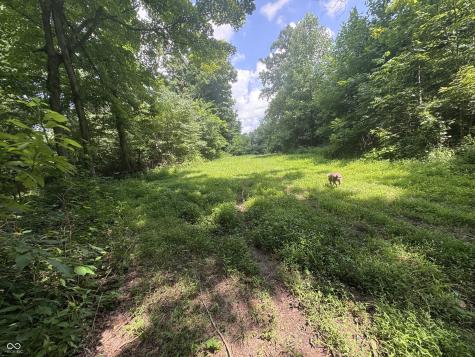8270 W Chafin Chapel Road Ellettsville IN 47429