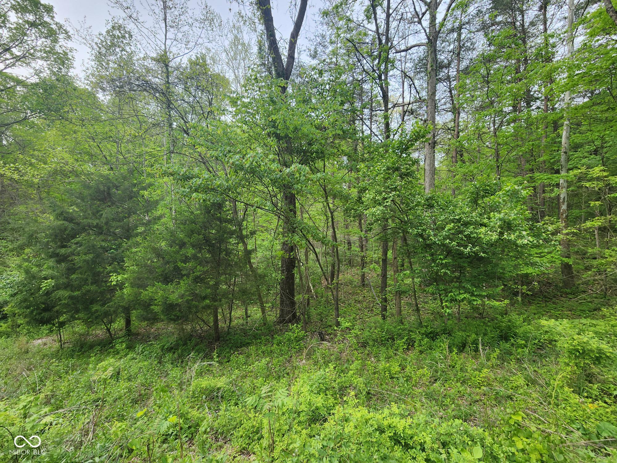 2921 W Cottonwood Road Morgantown IN 46160