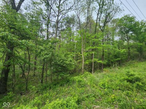 2921 W Cottonwood Road Morgantown IN 46160
