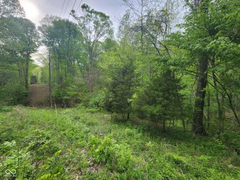 2921 W Cottonwood Road Morgantown IN 46160