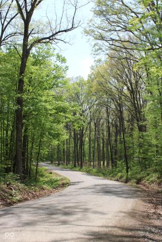 Tract 4: 0 N County Road 555 E Butlerville IN 47265