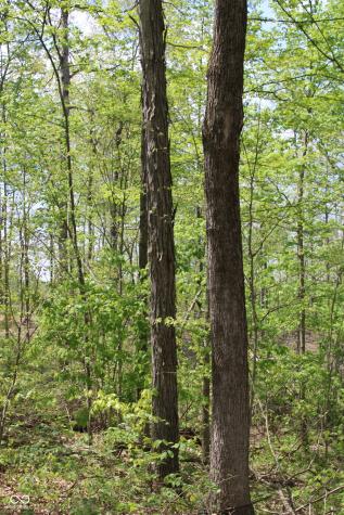 Tract 4: 0 N County Road 555 E Butlerville IN 47265