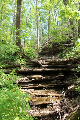 Tract 4: 0 N County Road 555 E Butlerville IN 47265