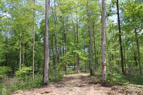 Tract 4: 0 N County Road 555 E Butlerville IN 47265