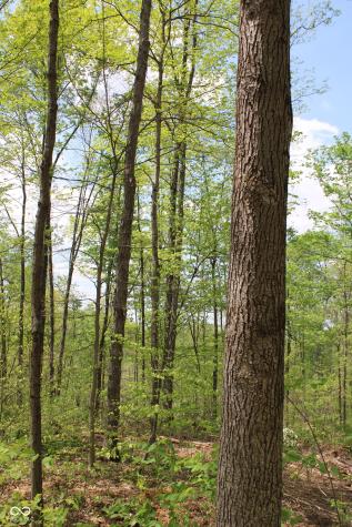 Tract 4: 0 N County Road 555 E Butlerville IN 47265