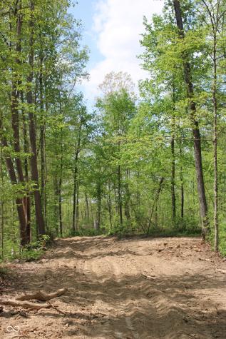 Tract 4: 0 N County Road 555 E Butlerville IN 47265