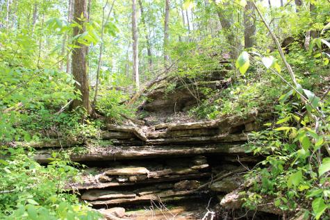 Tract 4: 0 N County Road 555 E Butlerville IN 47265