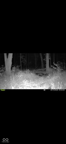 0 S 1000 W Seymour IN 47274
