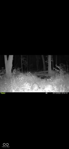 0 S 1000 W Seymour IN 47274