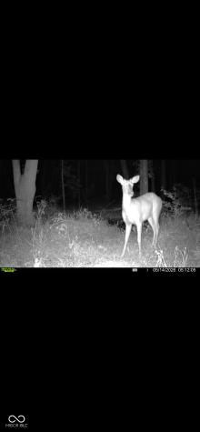 0 S 1000 W Seymour IN 47274