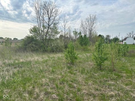 Tbd Patricks Place Brownsburg IN 46112