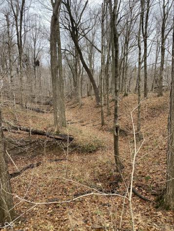 Tbd E Us Highway 136 Road E Crawfordsville IN 47933