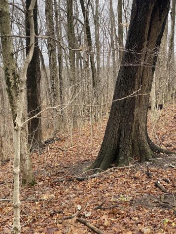 Tbd E Us Highway 136 Road E Crawfordsville IN 47933