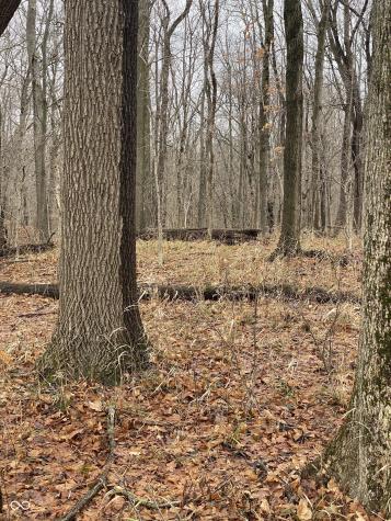 Tbd E Us Highway 136 Road E Crawfordsville IN 47933