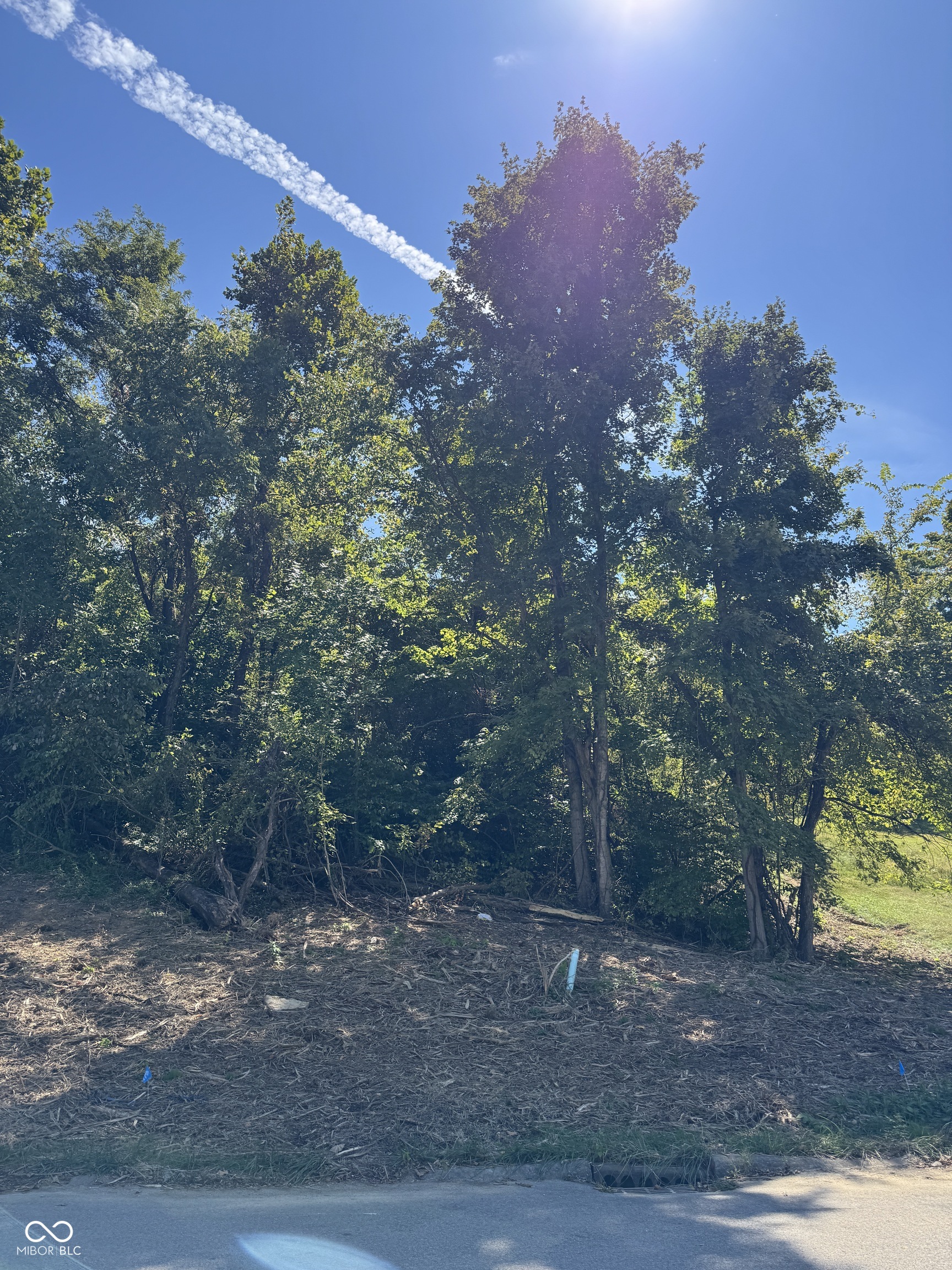 732 W Thornridge Way Spencer IN 47460