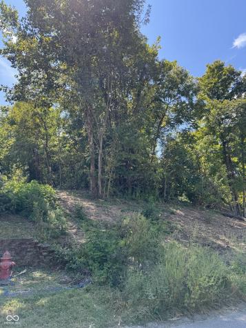 732 W Thornridge Way Spencer IN 47460