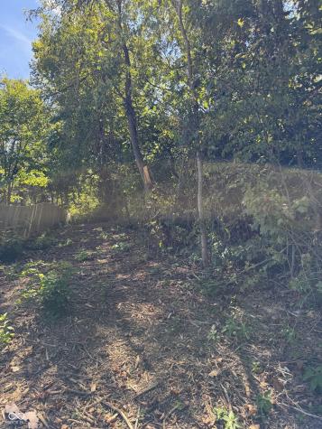 732 W Thornridge Way Spencer IN 47460