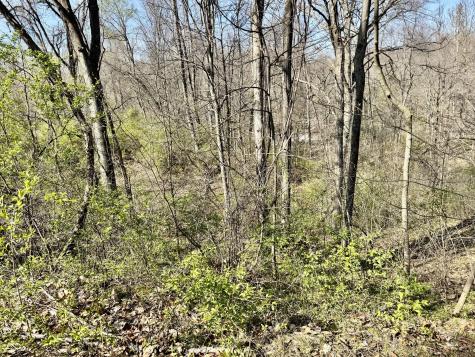 0 N Blue Bluff Road Martinsville IN 46151