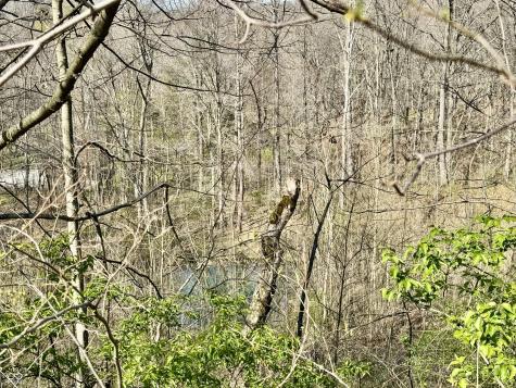 0 N Blue Bluff Road Martinsville IN 46151