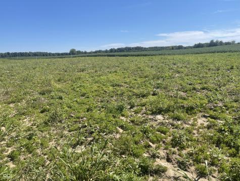 1 W Cr 990 North Tract "G" Elizabethtown IN 47232