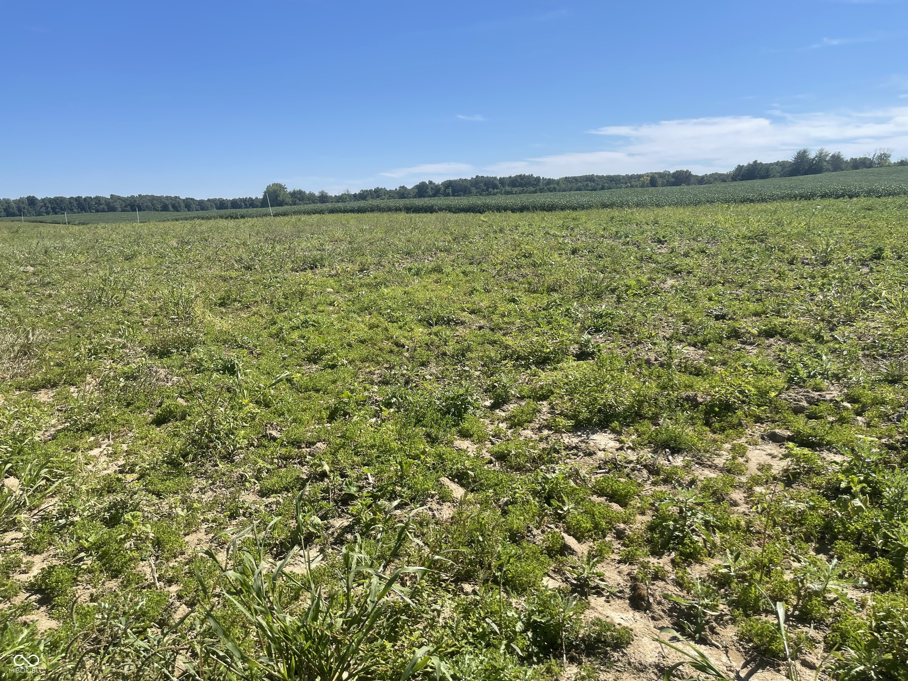 1 W Cr 990 North Tract "G" Elizabethtown IN 47232