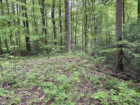 102 & 104 Crabapple Court Reelsville IN 46171