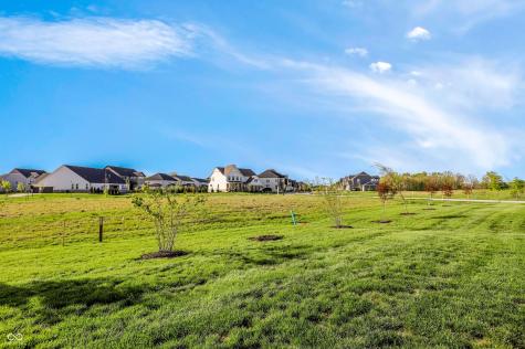 14441 Shrawley Court Carmel IN 46074