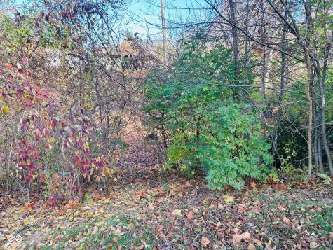 7208 Euliss Court Avon IN 46123