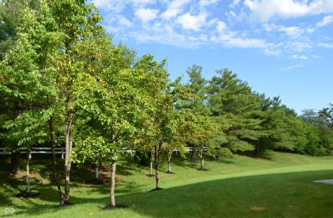 10848 Madeline Court Fishers IN 46037