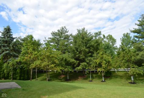 10848 Madeline Court Fishers IN 46037