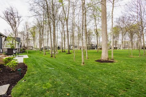 3844 Cherwell Drive Zionsville IN 46077
