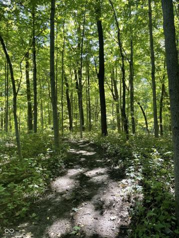 29 Point Lane Arcadia IN 46030