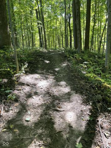 29 Point Lane Arcadia IN 46030