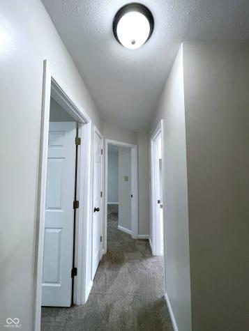 10522 Creekside Woods Drive Indianapolis IN 46239