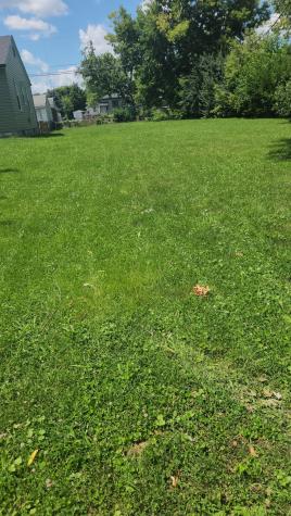 1350 S Whitcomb Avenue Indianapolis IN 46241