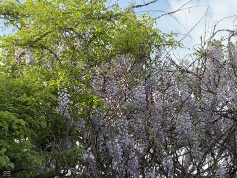 238 Glenbrook Lane Avon IN 46123