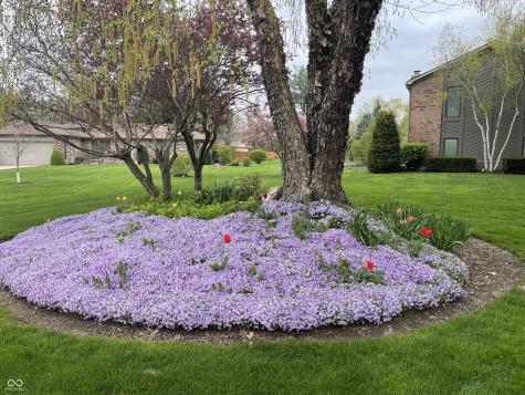 238 Glenbrook Lane Avon IN 46123