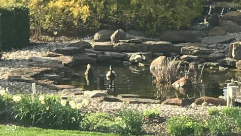 238 Glenbrook Lane Avon IN 46123