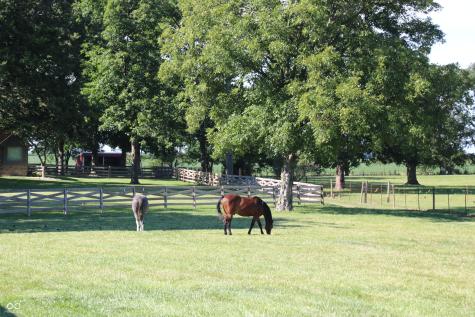 10910 W Us Highway 40 Charlottesville IN 46117